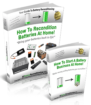 The EZ Battery Reconditioning program pdf ebook cover